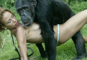 Секс с гориллой
